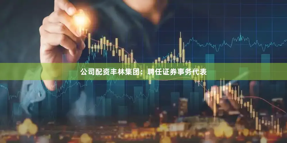 公司配资丰林集团：聘任证券事务代表
