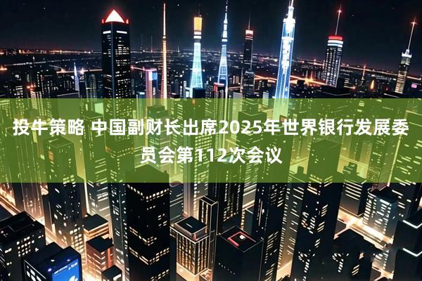 投牛策略 中国副财长出席2025年世界银行发展委员会第112次会议