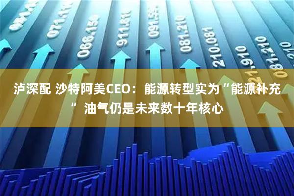 泸深配 沙特阿美CEO：能源转型实为“能源补充” 油气仍是未来数十年核心
