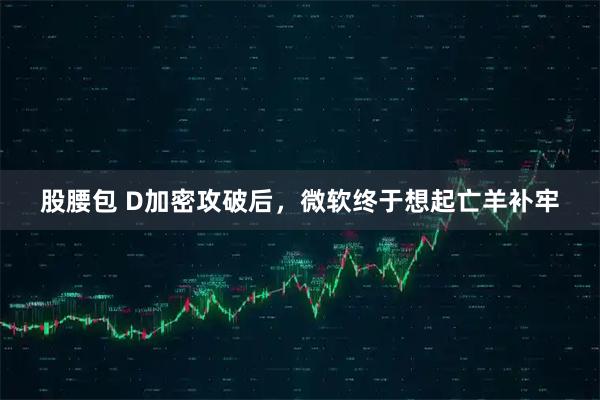 股腰包 D加密攻破后,微软终于想起亡羊补牢
