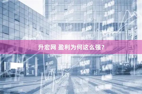 升宏网 盈利为何这么强？