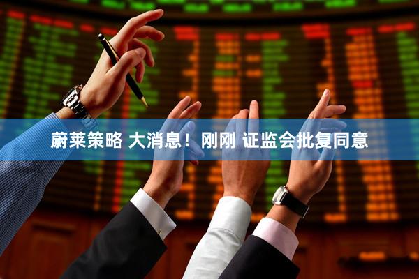 蔚莱策略 大消息！刚刚 证监会批复同意